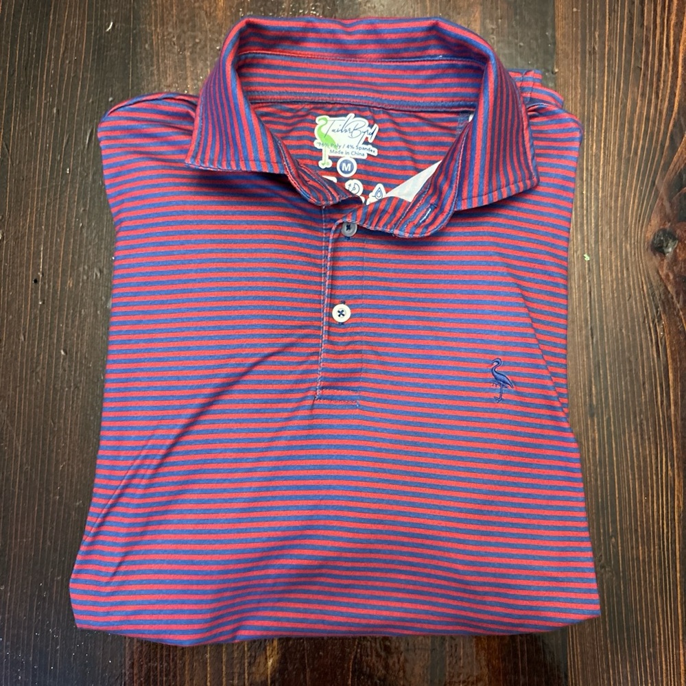 Tailorbyrd Men's Polo Shirt - Red and Blue Stripes
